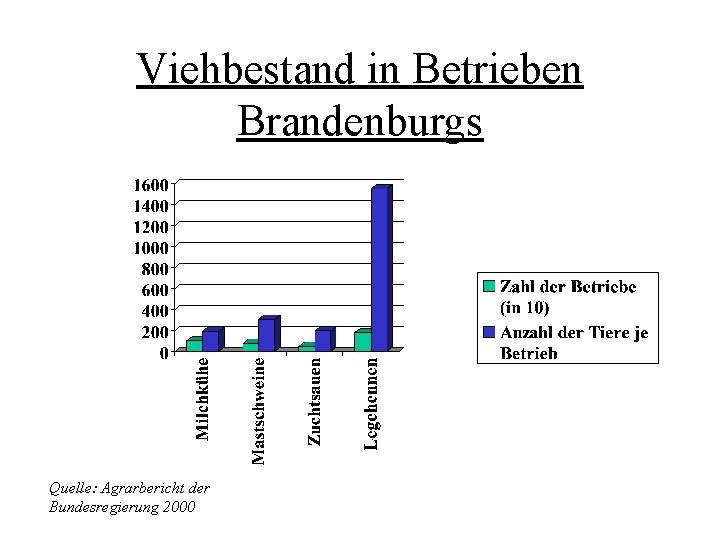 Viehbestand in Betrieben Brandenburgs Quelle: Agrarbericht der Bundesregierung 2000 