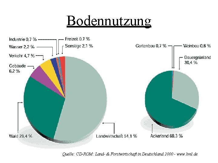 Bodennutzung Quelle: CD-ROM: Land- & Forstwirtschaft in Deutschland 2000 - www. bml. de Bodennutzung Quelle: CD-ROM: Land- & Forstwirtschaft in Deutschland 2000 - www. bml. de