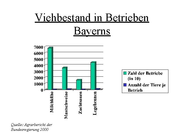Viehbestand in Betrieben Bayerns Quelle: Agrarbericht der Bundesregierung 2000 Viehbestand in Betrieben Bayerns Quelle: Agrarbericht der Bundesregierung 2000