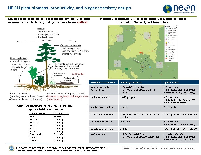 NEON plant biomass, productivity, and biogeochemistry design Key foci of the sampling design supported