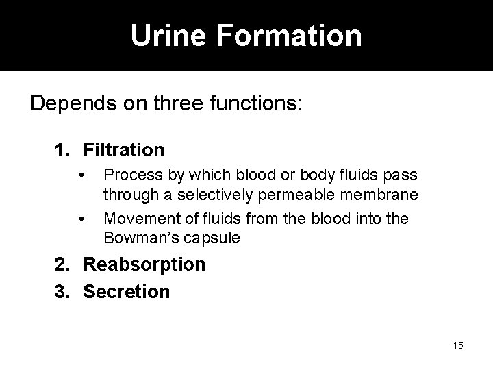 Urine Formation Depends on three functions: 1. Filtration • • Process by which blood