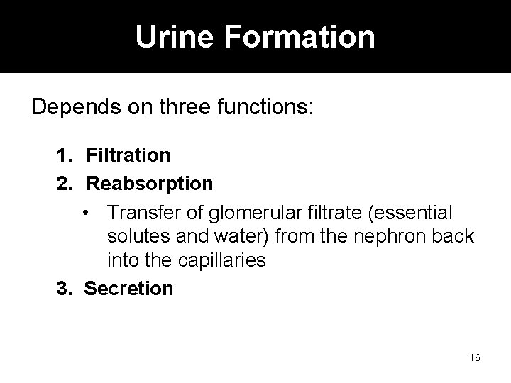 Urine Formation Depends on three functions: 1. Filtration 2. Reabsorption • Transfer of glomerular