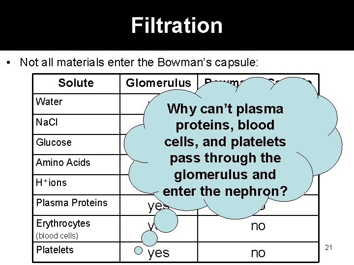 Filtration • Not all materials enter the Bowman’s capsule: Solute Water Na. Cl Glucose