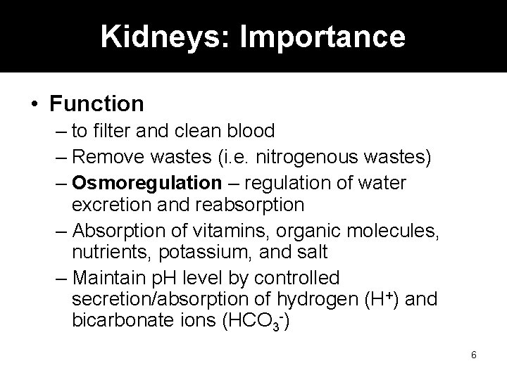 Kidneys: Importance • Function – to filter and clean blood – Remove wastes (i.