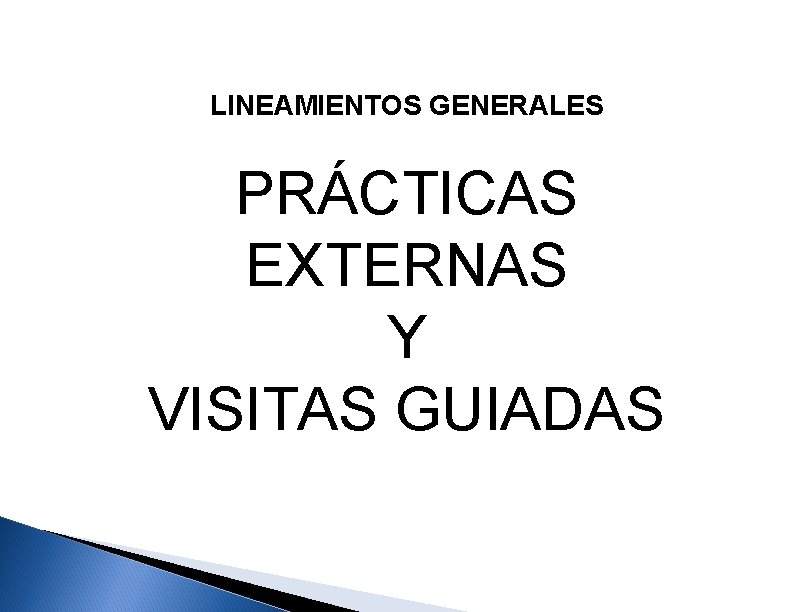 LINEAMIENTOS GENERALES PRÁCTICAS EXTERNAS Y VISITAS GUIADAS 