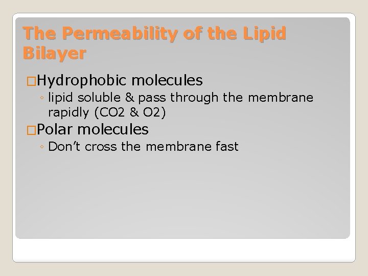 The Permeability of the Lipid Bilayer �Hydrophobic molecules ◦ lipid soluble & pass through