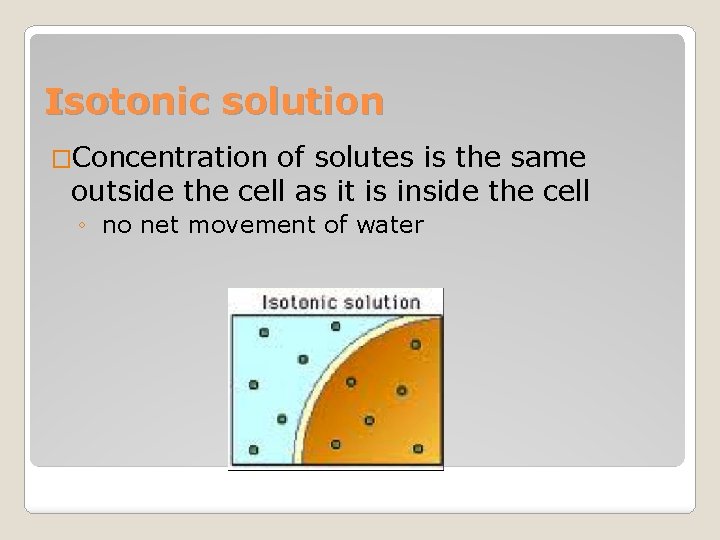 Isotonic solution �Concentration of solutes is the same outside the cell as it is