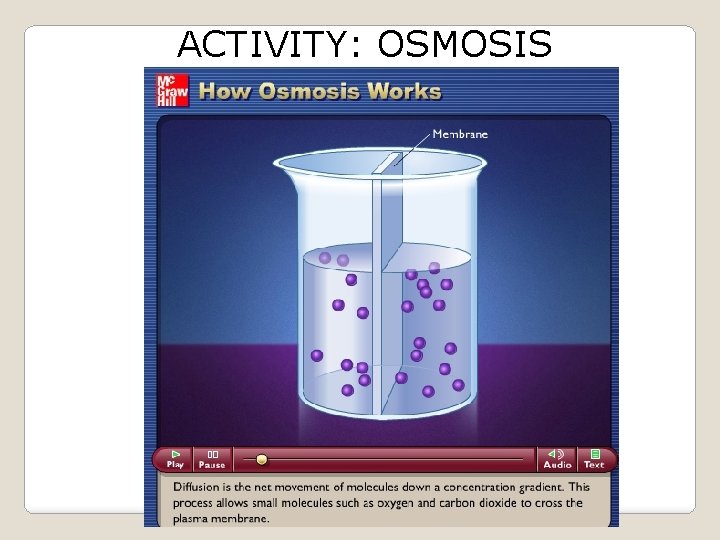 ACTIVITY: OSMOSIS 
