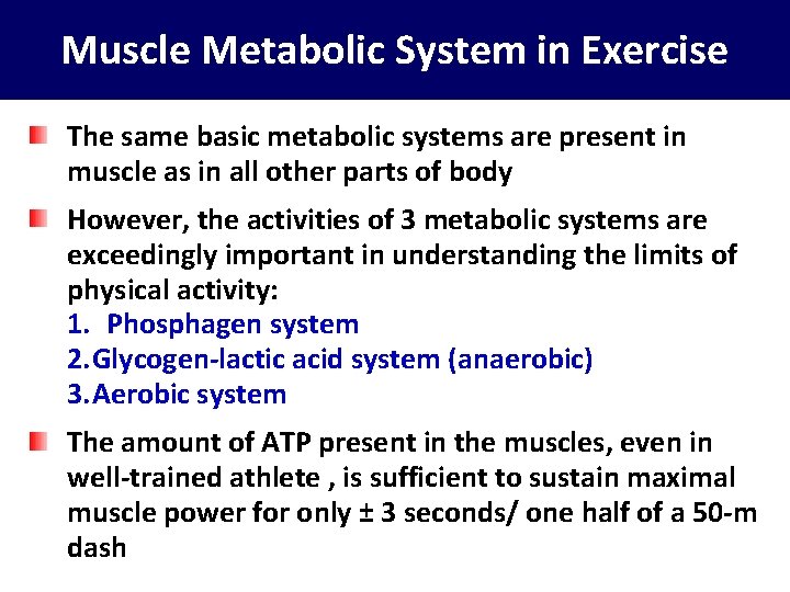 Muscle Metabolic System in Exercise The same basic metabolic systems are present in muscle