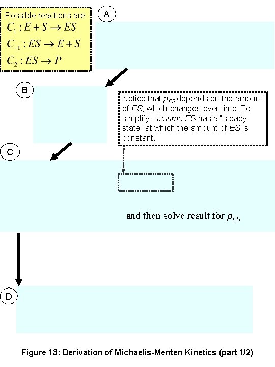 Possible reactions are: B A Notice that p. ES depends on the amount of