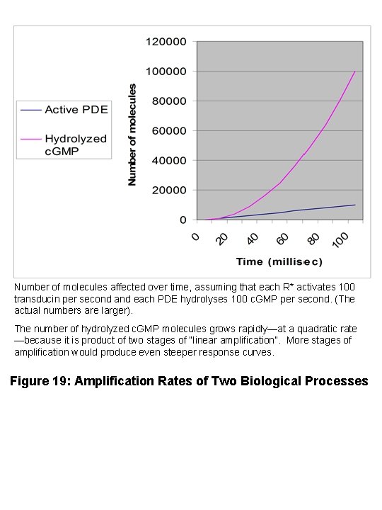 Number of molecules affected over time, assuming that each R* activates 100 transducin per