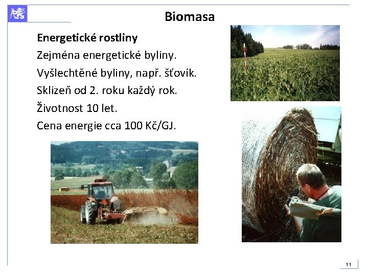 Biomasa Energetické rostliny Zejména energetické byliny. Vyšlechtěné byliny, např. šťovík. Sklizeň od 2. roku