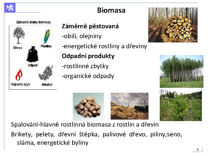 Biomasa Záměrně pěstovaná -obilí, olejniny -energetické rostliny a dřeviny Odpadní produkty -rostlinné zbytky -organické