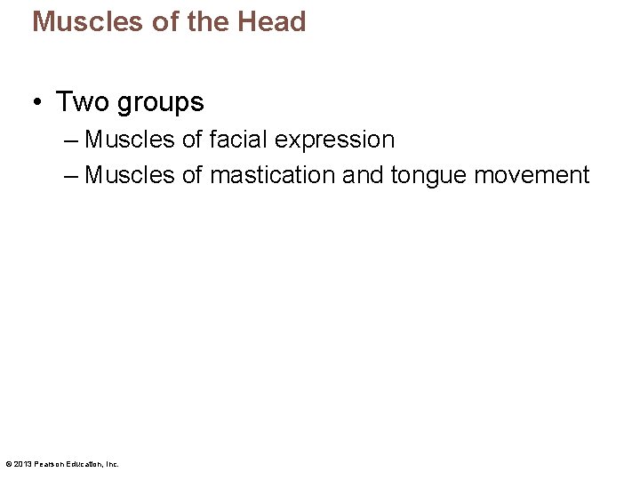 Muscles of the Head • Two groups – Muscles of facial expression – Muscles