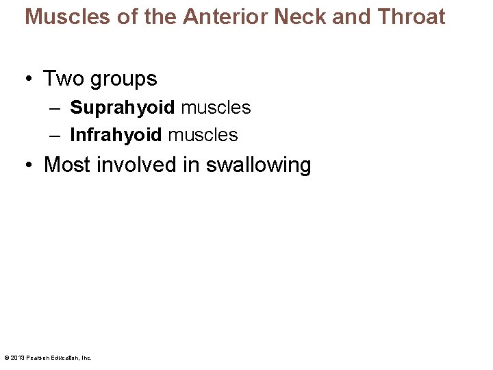 Muscles of the Anterior Neck and Throat • Two groups – Suprahyoid muscles –