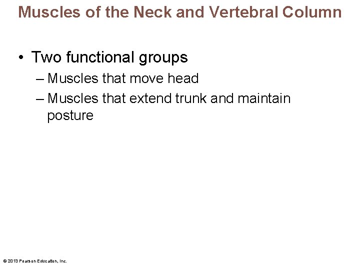 Muscles of the Neck and Vertebral Column • Two functional groups – Muscles that