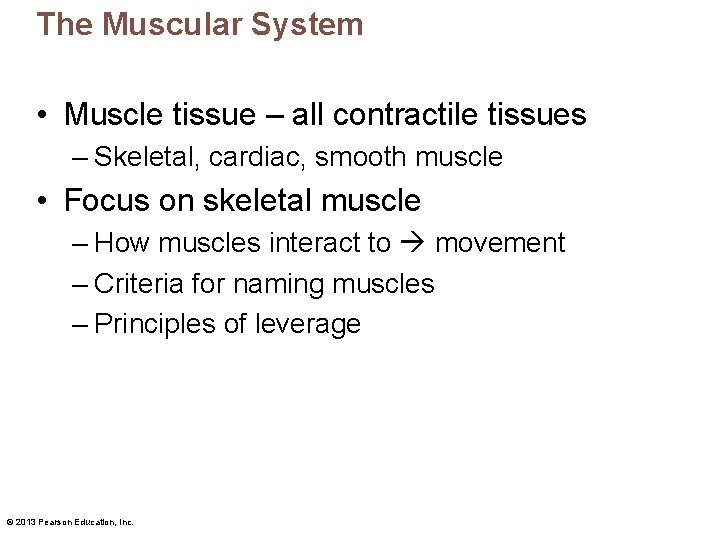 The Muscular System • Muscle tissue – all contractile tissues – Skeletal, cardiac, smooth