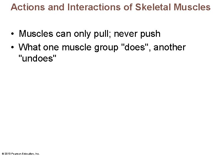 Actions and Interactions of Skeletal Muscles • Muscles can only pull; never push •