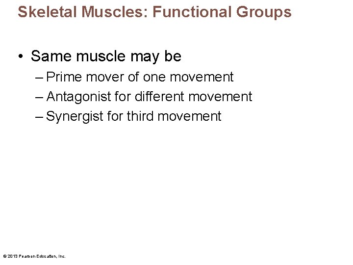 Skeletal Muscles: Functional Groups • Same muscle may be – Prime mover of one