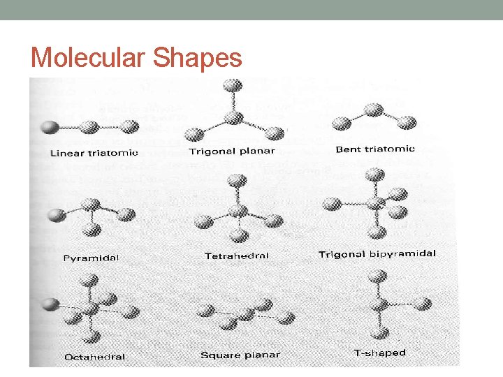 Molecular Shapes 