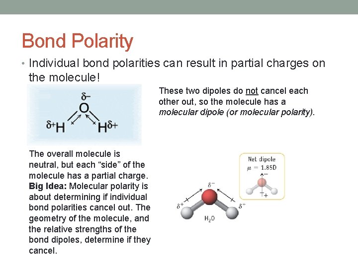Bond Polarity • Individual bond polarities can result in partial charges on the molecule!
