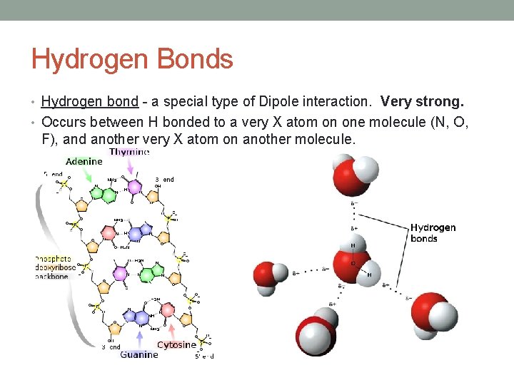 Hydrogen Bonds • Hydrogen bond - a special type of Dipole interaction. Very strong.