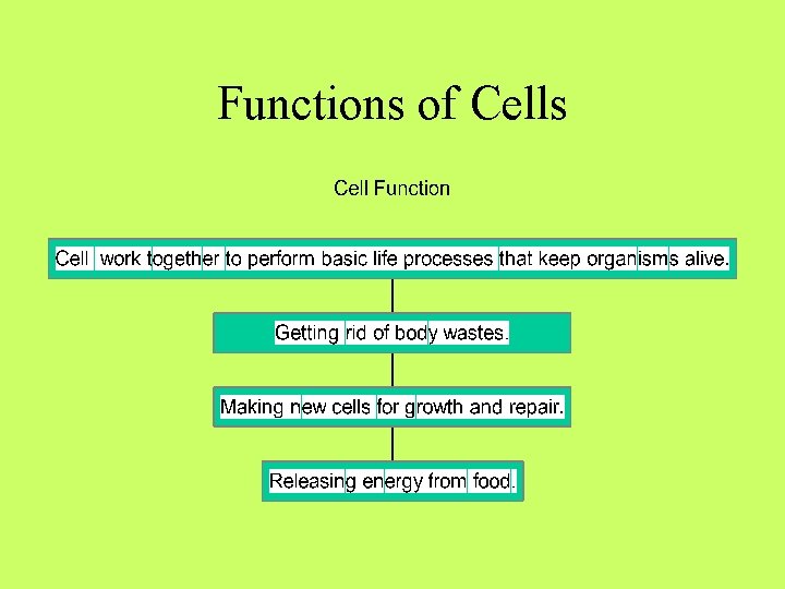 Functions of Cells 