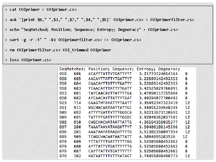 > cat COIprimer > COIprimer. csv > awk '{print $6, " ", $1, "