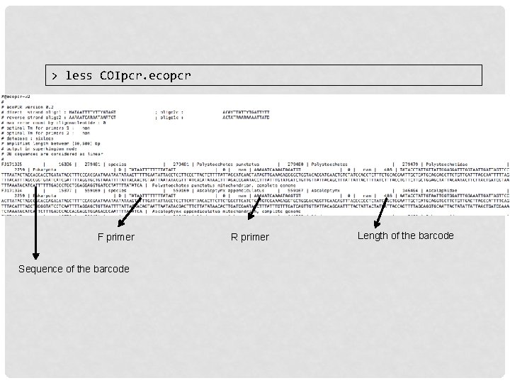> less COIpcr. ecopcr F primer Sequence of the barcode R primer Length of