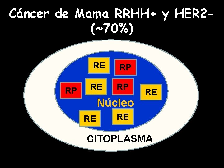 Cáncer de Mama RRHH+ y HER 2(~70%) RE RP RP Núcleo RE RE RE
