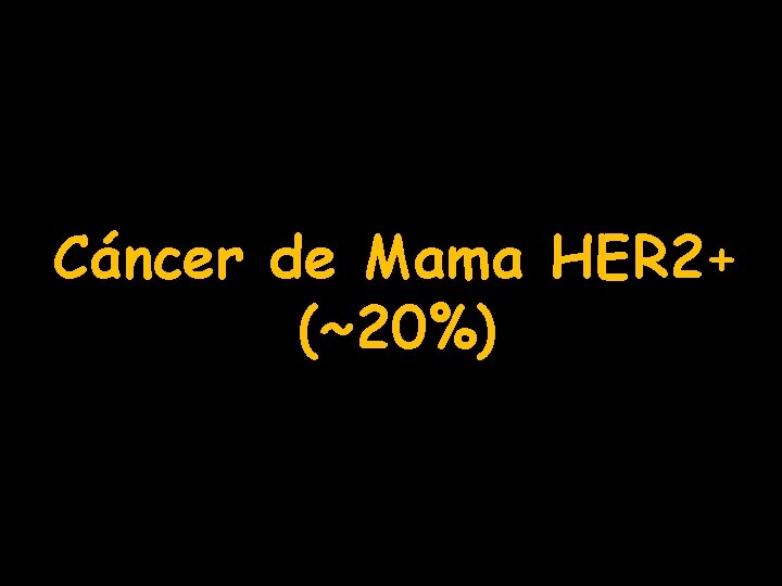 Cáncer de Mama HER 2+ (~20%) 