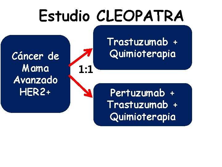 Estudio CLEOPATRA Cáncer de Mama Avanzado HER 2+ Trastuzumab + Quimioterapia 1: 1 Pertuzumab
