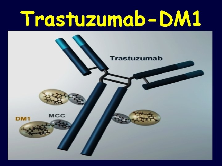 Trastuzumab-DM 1 