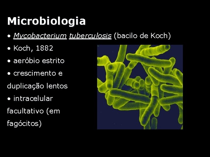 Microbiologia • Mycobacterium tuberculosis (bacilo de Koch) • Koch, 1882 • aeróbio estrito •