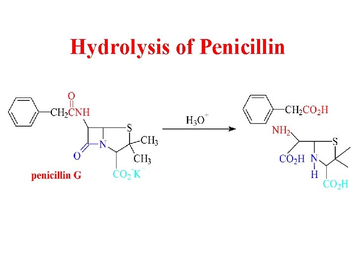Hydrolysis of Penicillin 