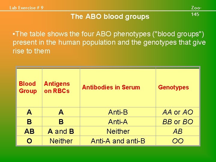 Lab Exercise # 9 Zoo 145 The ABO blood groups • The table shows