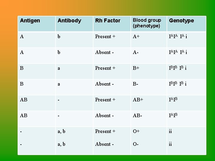 Antigen Antibody Rh Factor Blood group (phenotype) Genotype A b Present + A+ IAIA