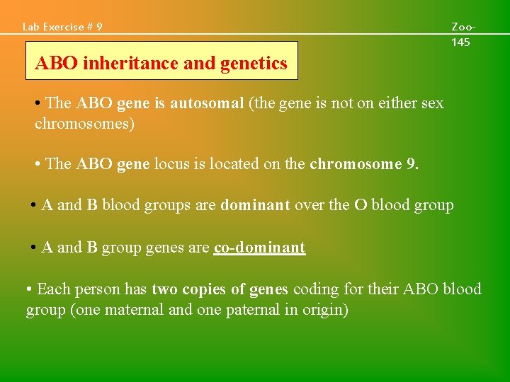 Lab Exercise # 9 Zoo 145 ABO inheritance and genetics • The ABO gene