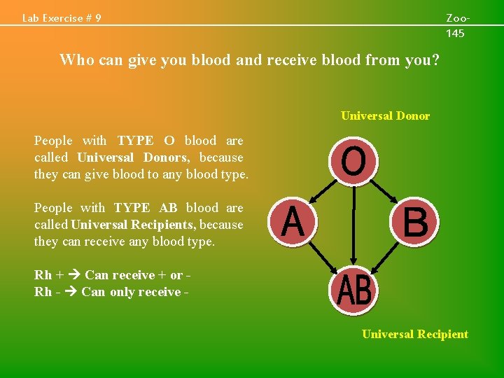 Lab Exercise # 9 Zoo 145 Who can give you blood and receive blood