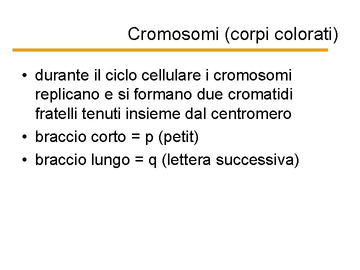 Cromosomi (corpi colorati) • durante il ciclo cellulare i cromosomi replicano e si formano