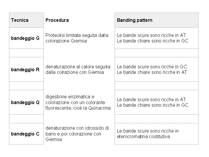 Tecnica Procedura Banding pattern bandeggio G Proteolisi limitata seguita dalla colorazione Giemsa Le bande