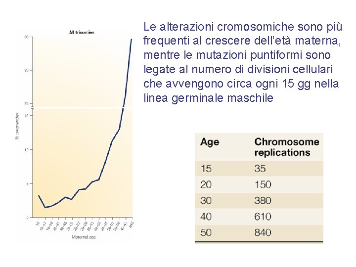 Le alterazioni cromosomiche sono più frequenti al crescere dell’età materna, mentre le mutazioni puntiformi