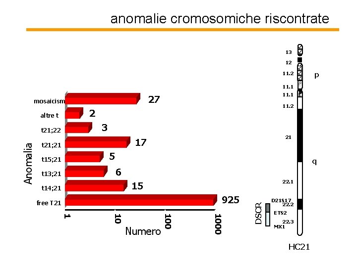 anomalie cromosomiche riscontrate 13 12 11. 2 p 11. 1 mosaicism 11. 2 2