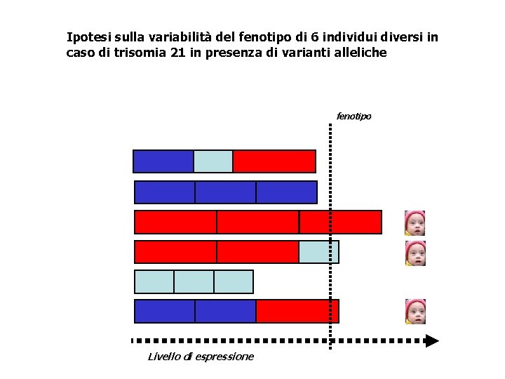 Ipotesi sulla variabilità del fenotipo di 6 individui diversi in caso di trisomia 21
