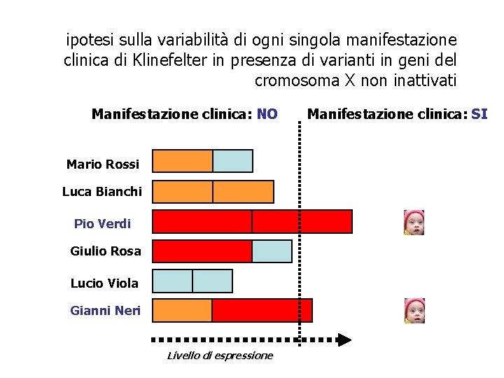 ipotesi sulla variabilità di ogni singola manifestazione clinica di Klinefelter in presenza di varianti