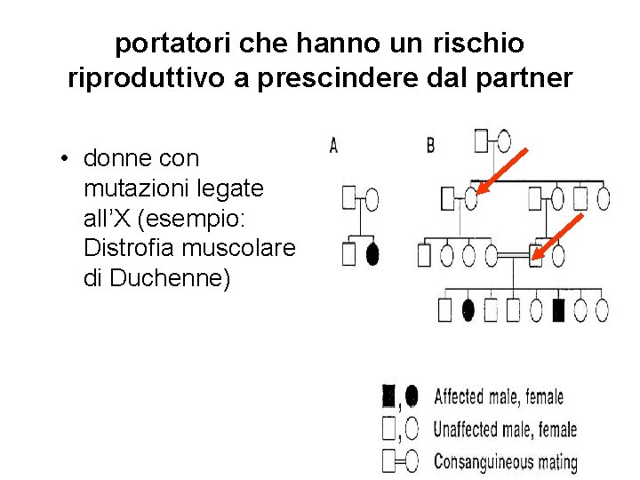 portatori che hanno un rischio riproduttivo a prescindere dal partner • donne con mutazioni