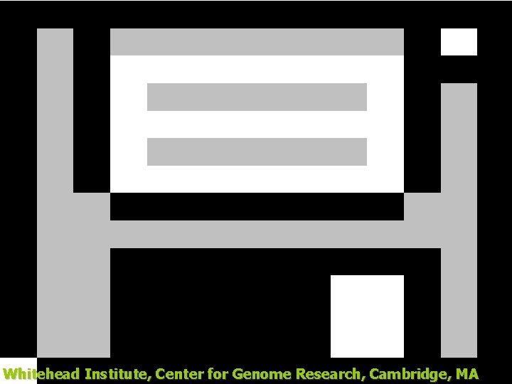 Whitehead Institute, Center for Genome Research, Cambridge, MA 