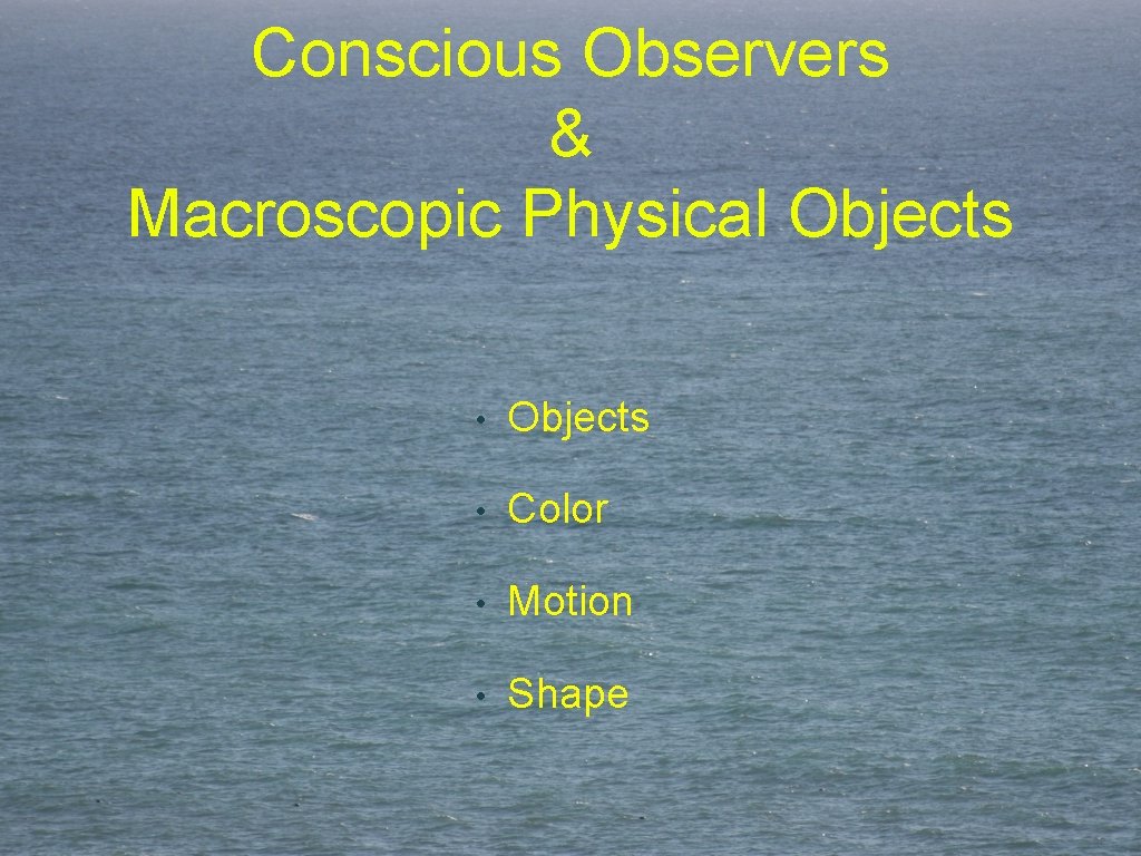 Conscious Observers & Macroscopic Physical Objects • Objects • Color • Motion • Shape