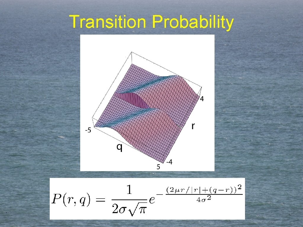 Transition Probability 