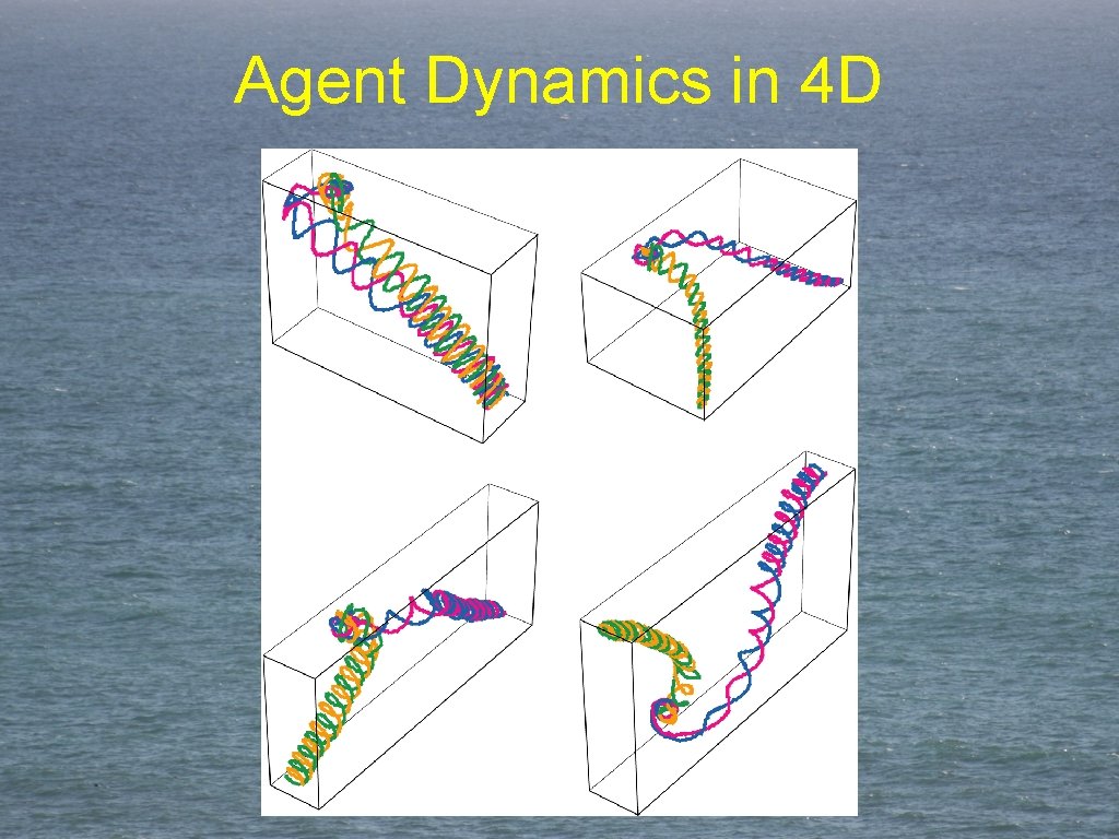 Agent Dynamics in 4 D 